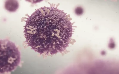 Measles & Pregnancy